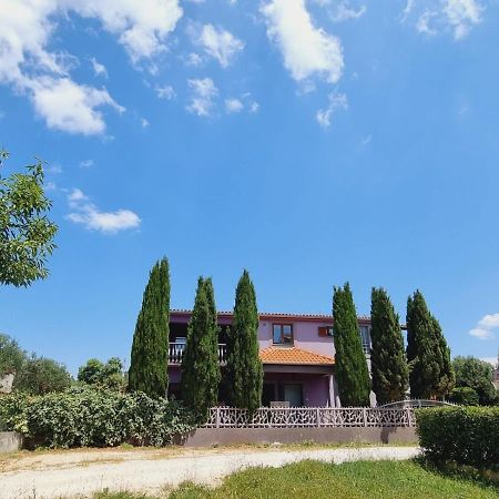 Apartmani Nika Bibinje Kültér fotó