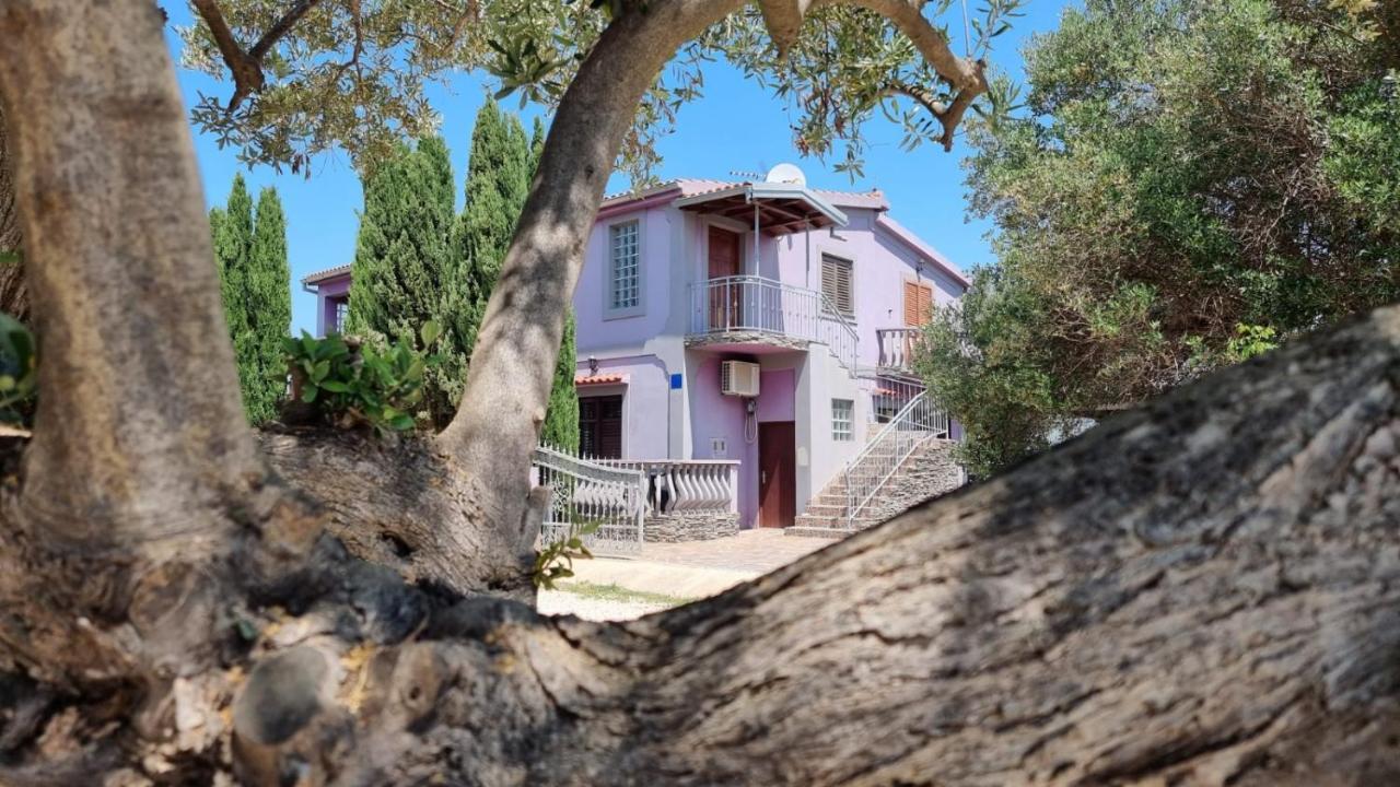 Apartmani Nika Bibinje Kültér fotó