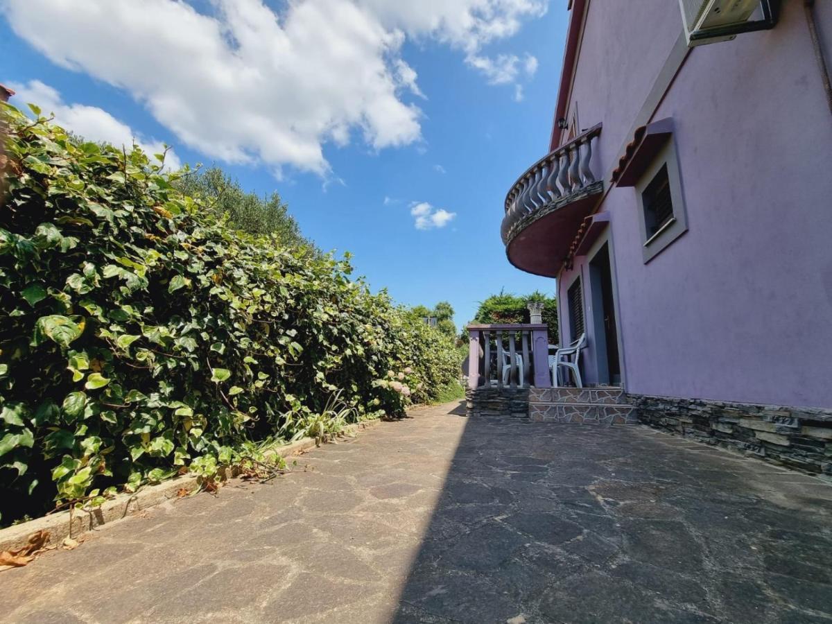 Apartmani Nika Bibinje Kültér fotó